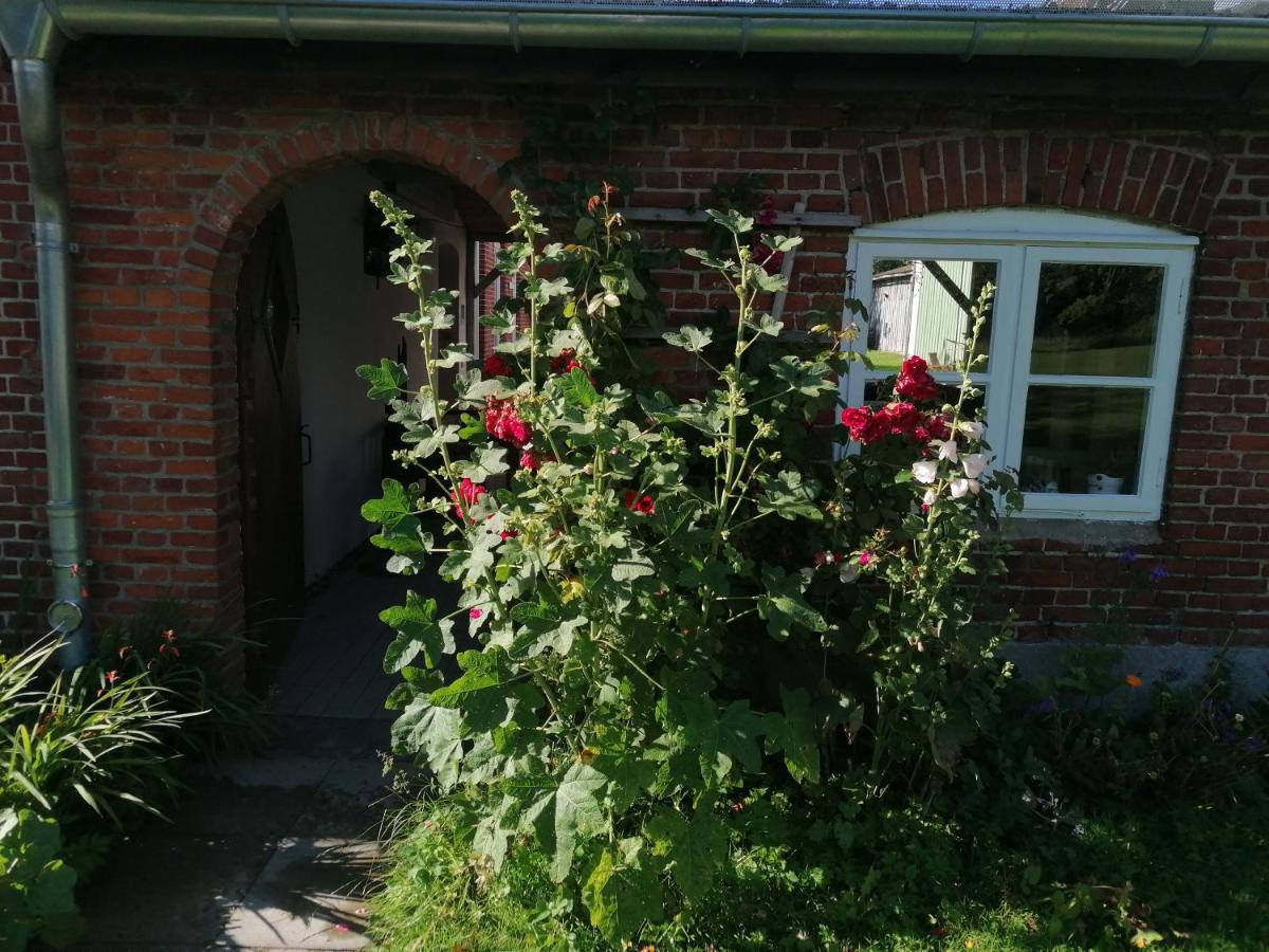 Fw Achterdeck, 1 Obergeschoss, Petershof-Lehbek Lägenhet Gelting Exteriör bild